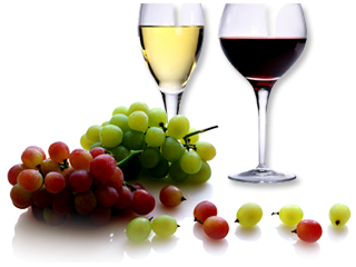 Tipos de uvas para fazer vinho